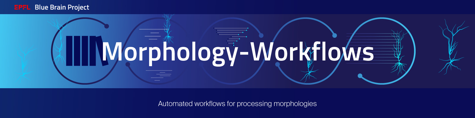 _images/BBP-Morphology-Workflows.jpg